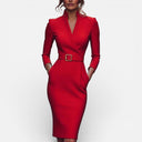 Damenkleid mit Gürtel und Stehkragen, taillierte Passform, klassischer Geschäftslook