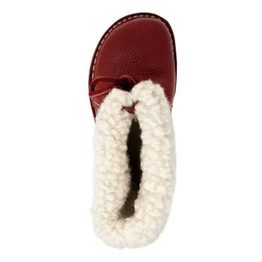 Isa | Women’s Shearling-Lined Ankle Winter Boots