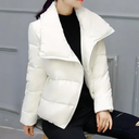 Damen Kurze Steppjacke – Asymmetrischer Reißverschluss Wintermantel